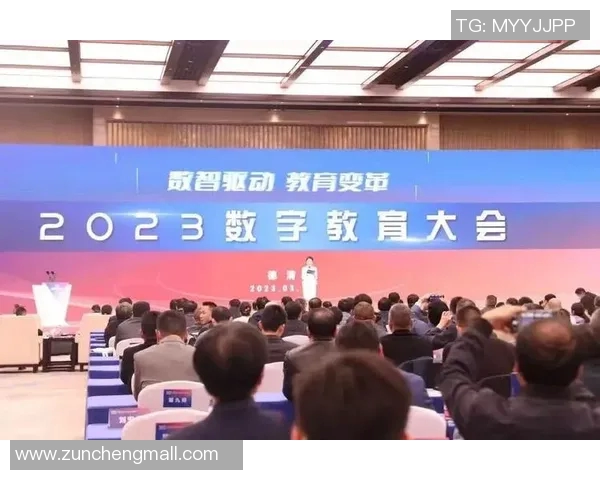 南京乒乓球队运营分析：成功经验与面临挑战的深度探讨